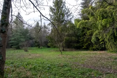 Parc de Bourran de Merignac (3).